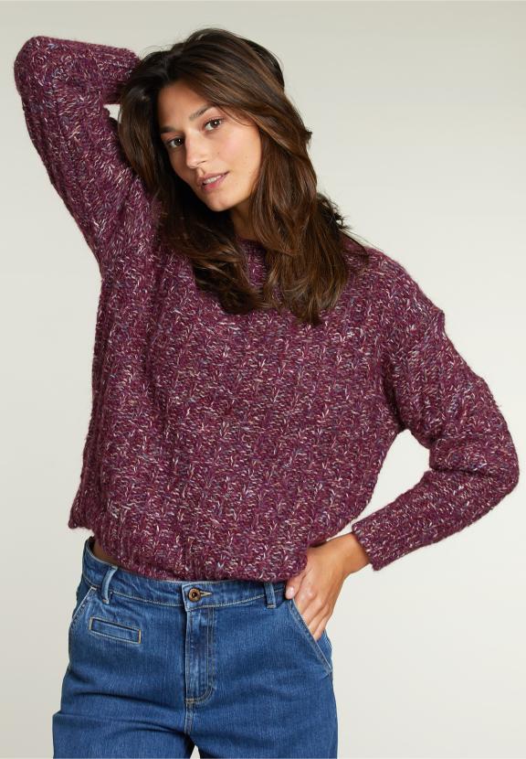 Pull Pailleté Violet à Col Rond