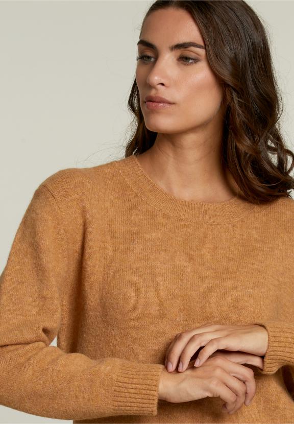 Pull Uni Col Rond Safran - Beige