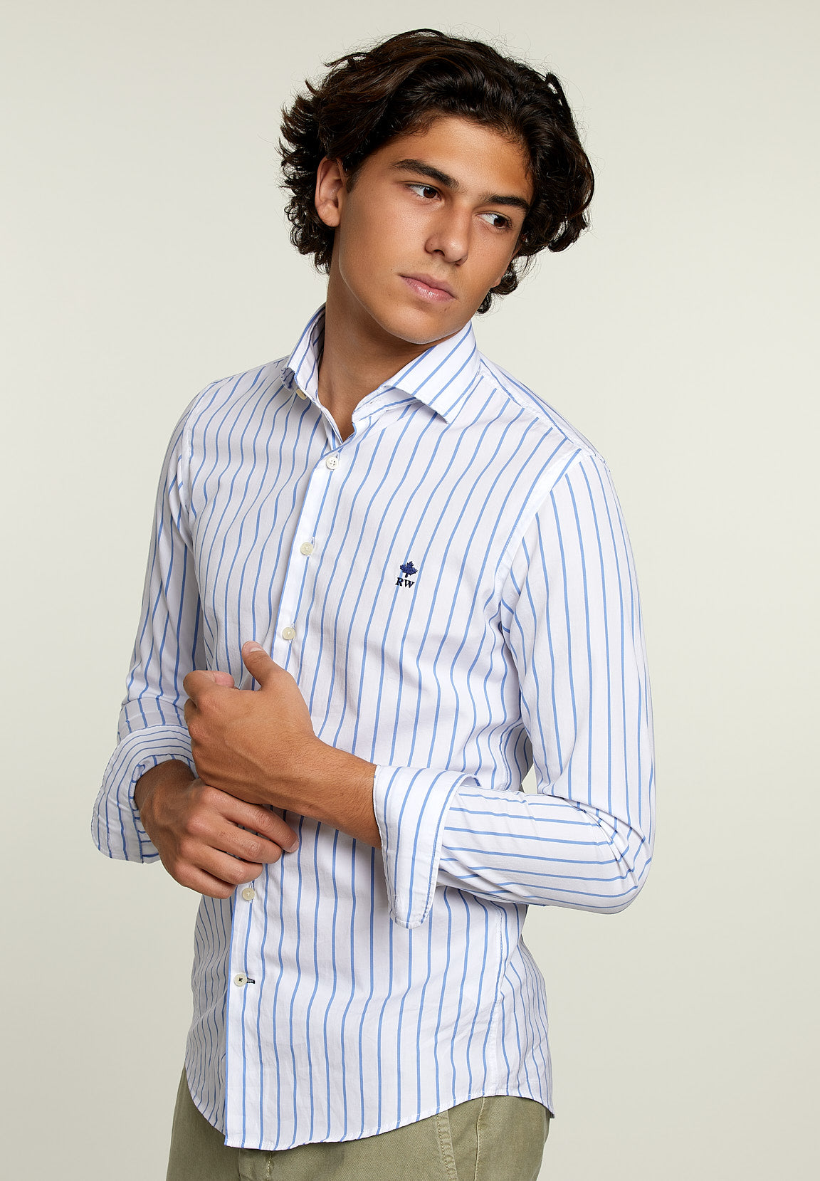 Slim Fit Striped Shirt Blue White - Multi