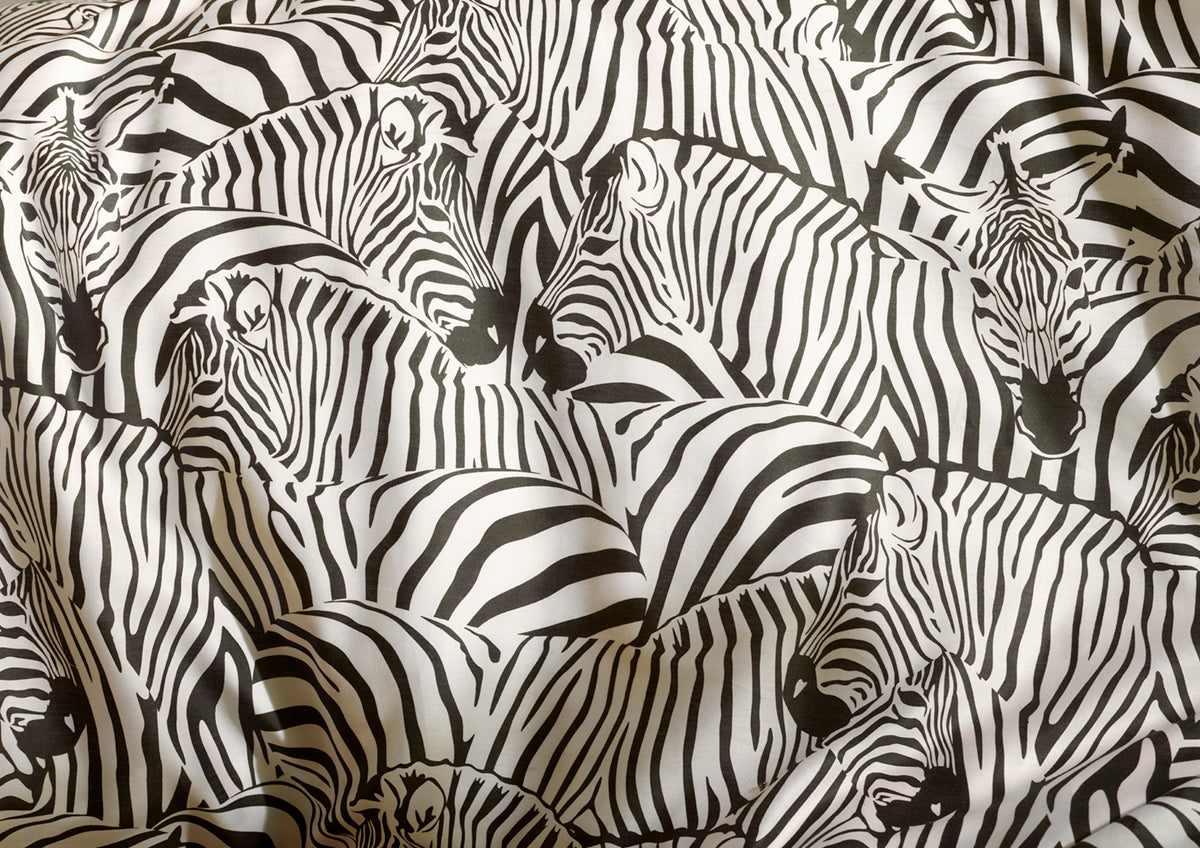 Luxury Collection - Zebra Eggshell